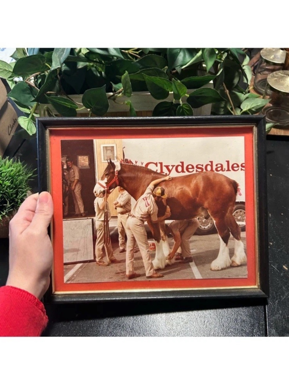 Framed Clydesdales Wall Art - Brown & White Vintage framed photograph